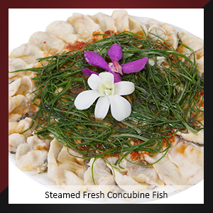 Steamed Fresh Concubine Fish